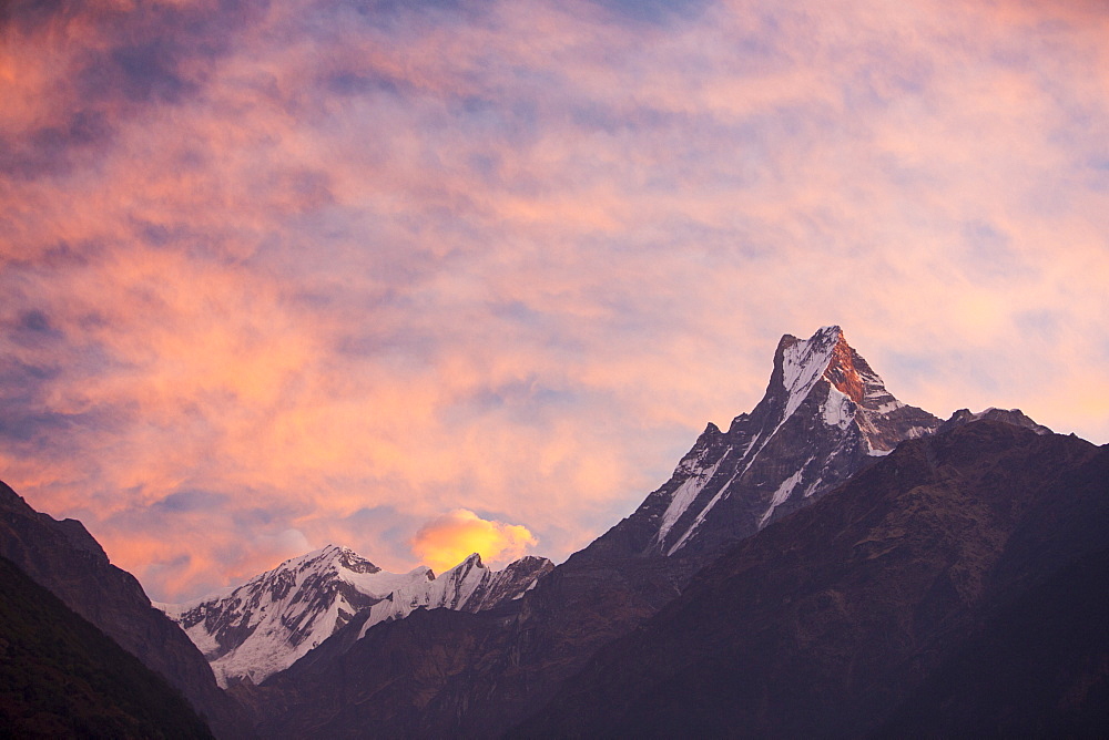 Alpenglow at sunset on Machapuchare, Annapurna Sanctuary, Nepalese Himalayas, Nepal, Asia